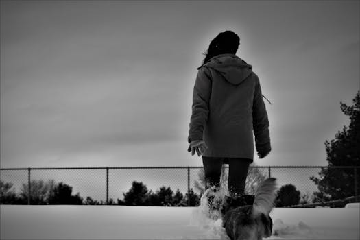 冬季雪地里一个人遛狗的剪影