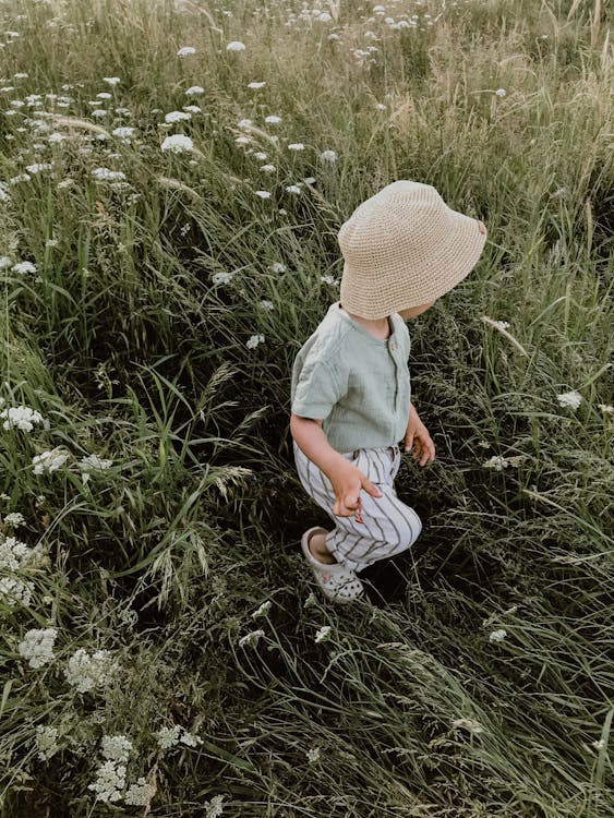 From above of unrecognizable child in casual clothes and hat walking on grassy meadow with white flowers on summer day