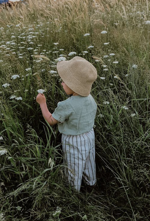 Little boy with flower in field