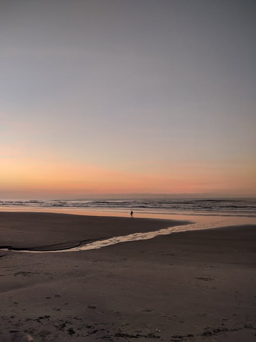 Foto profissional grátis de andando, areia, cair da noite