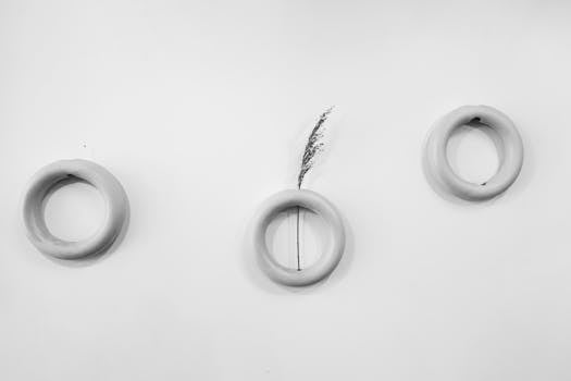 Minimalist composition featuring three circles and a single reed on a white background.