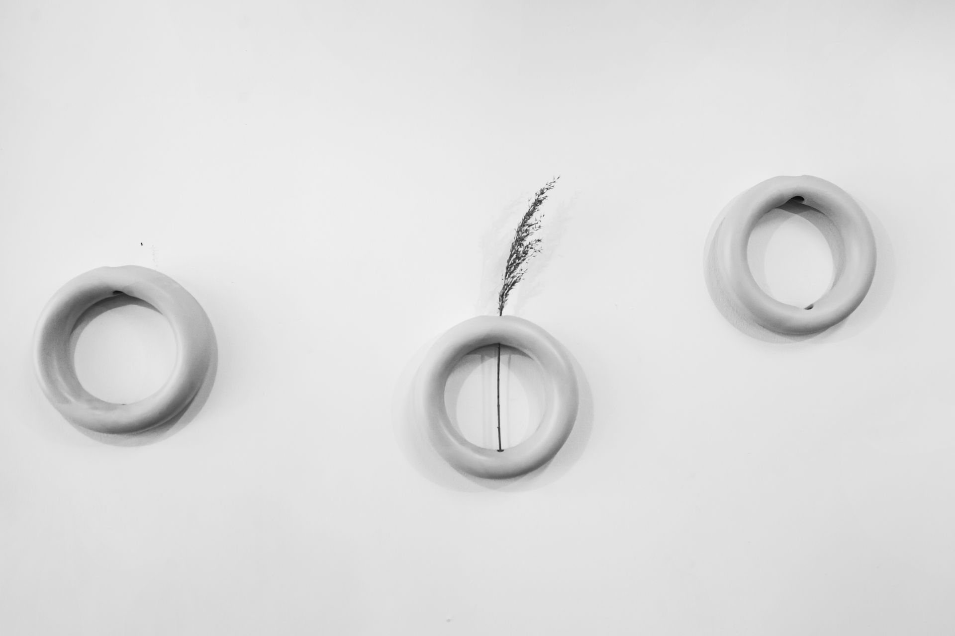 Minimalist composition featuring three circles and a single reed on a white background.