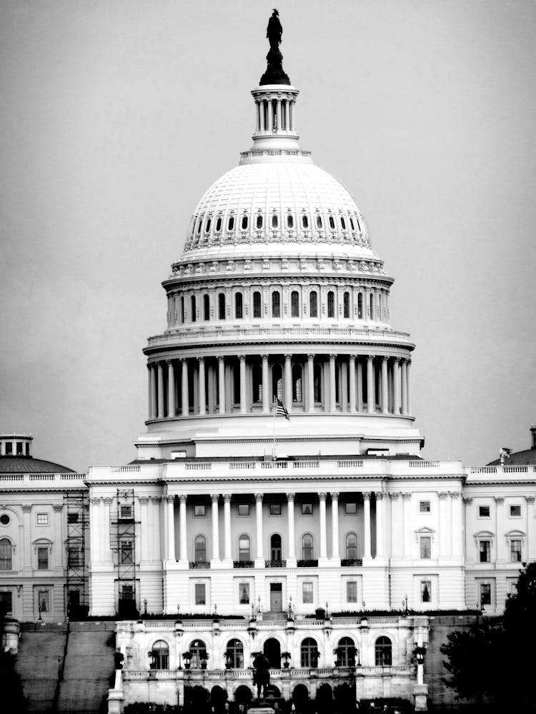 Black And White Analogue Picture Of The United States Capitol 