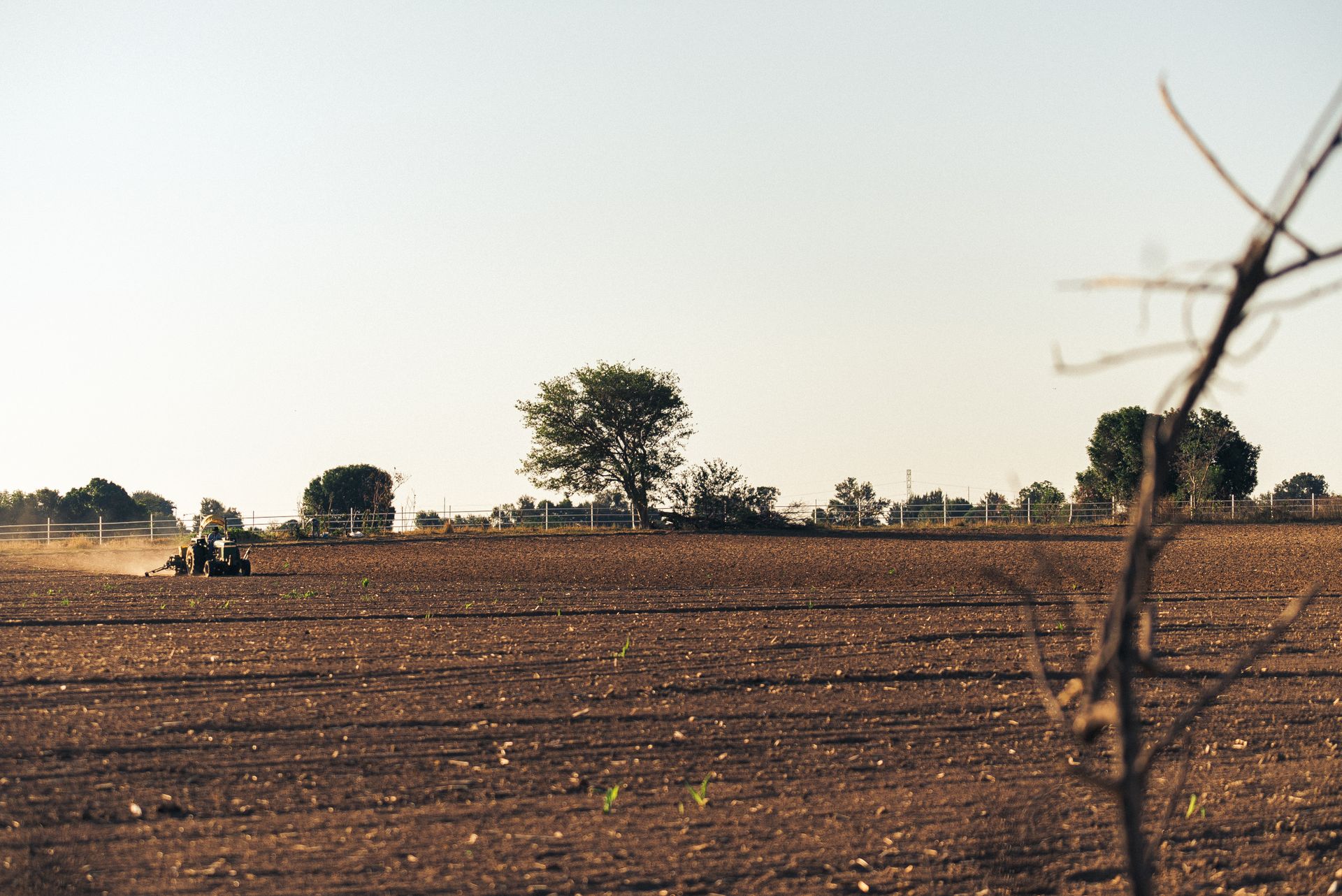 Tractor working on open field with clear sky and trees in rural setting.