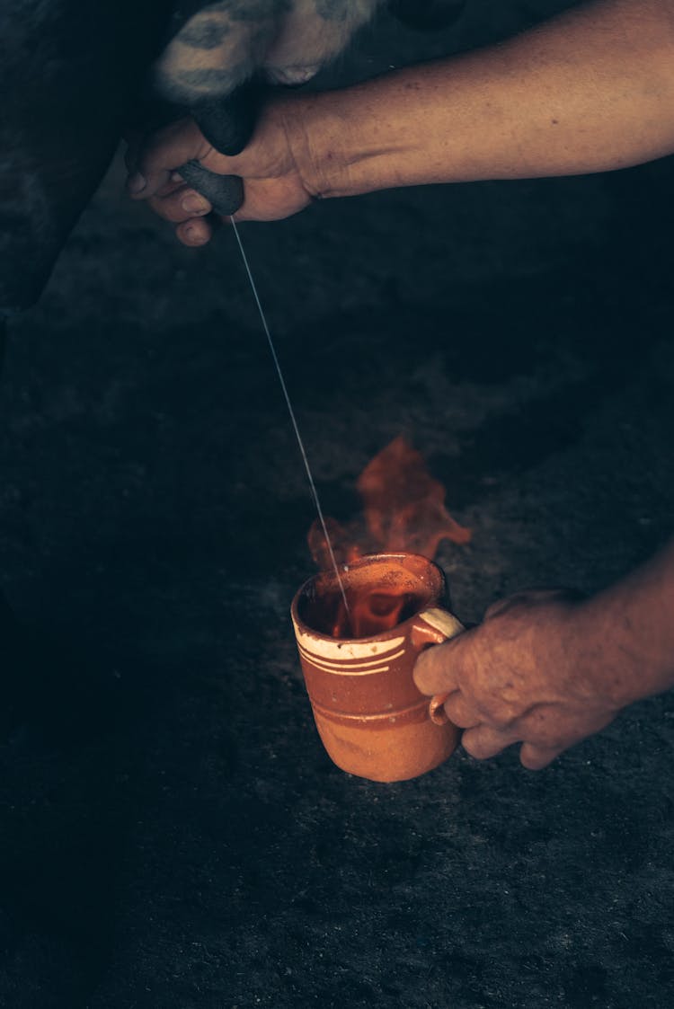 Person Milking A Cow 