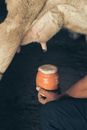 Person Holding a Brown Ceramic Cup with Overflowing Milk