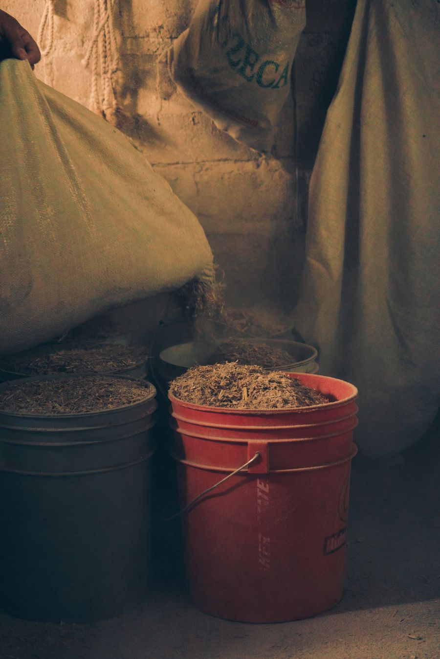 Silage being poured from a sack into feed buckets — Los Muertos Crew on Pexels