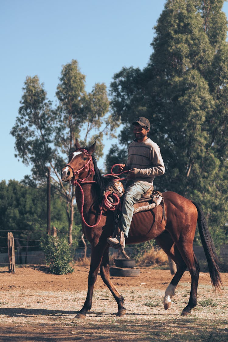 Man Riding A Brown Horse