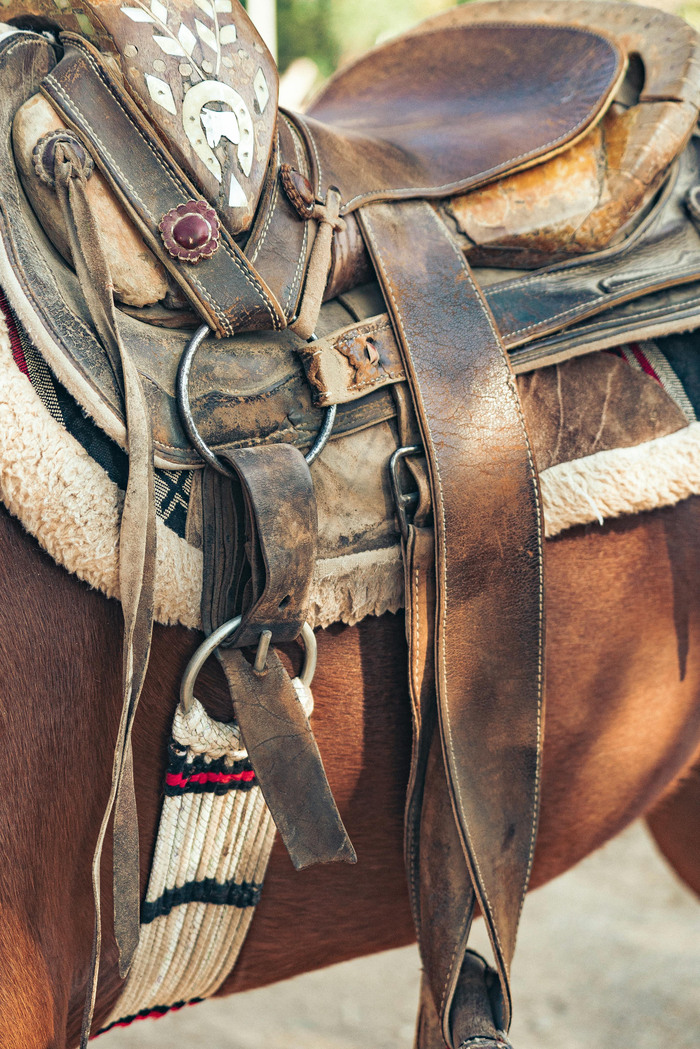 Detailed view of a leather saddle on a horse, showcasing craftsmanship outdoors.