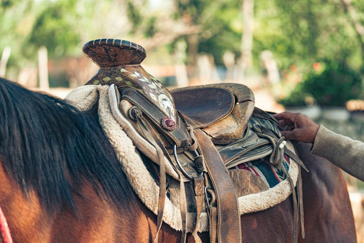 A Leather Saddle On A Horse