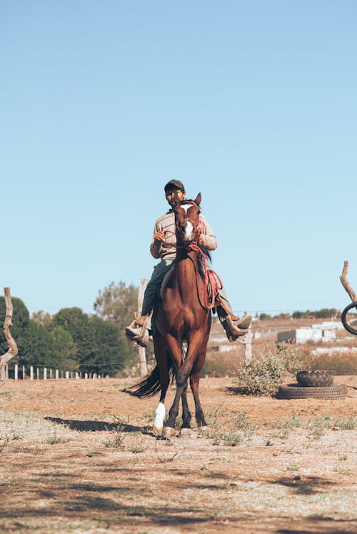 Free Man Riding a Tall Brown Horse  Stock Photo