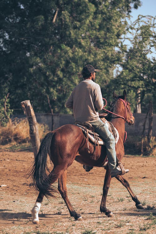 A Man Riding a Brown and Black Horse