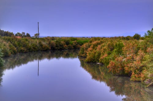 Kostnadsfri bild av höstfärg, Kalkon, reflektion