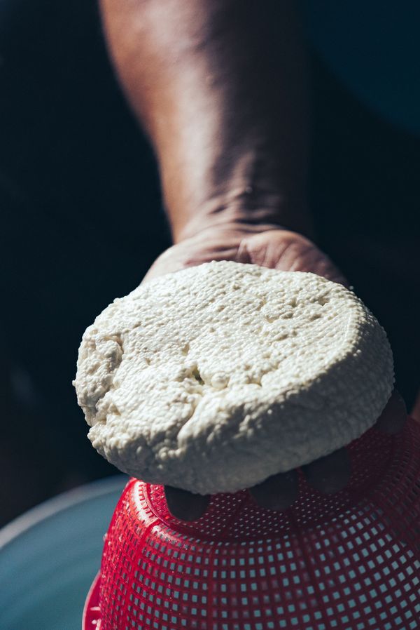 Fresh homemade cheese being held