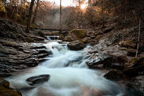 Long Exposure of a River Flowing in a Forest 