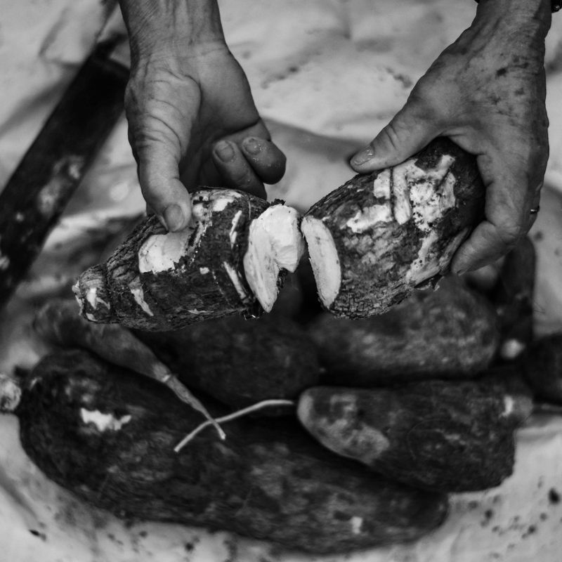 Roasted Taro Root and Crispy Coconut Flake Jasmine Rice