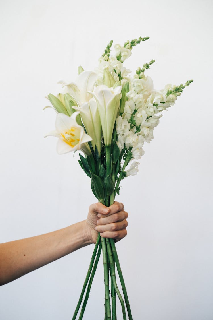 A Person Holding A Bunch Of White Flowers