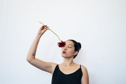 Free Minimalist portrait of an Asian woman gracefully holding a red gerbera flower against a white background. Stock Photo