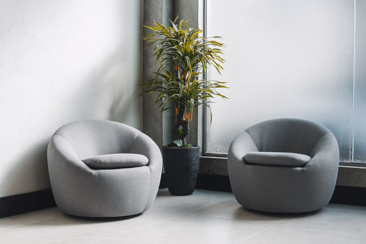 Hai ghế bành xám đặt đối diện nhau cạnh cửa sổ và chậu cây