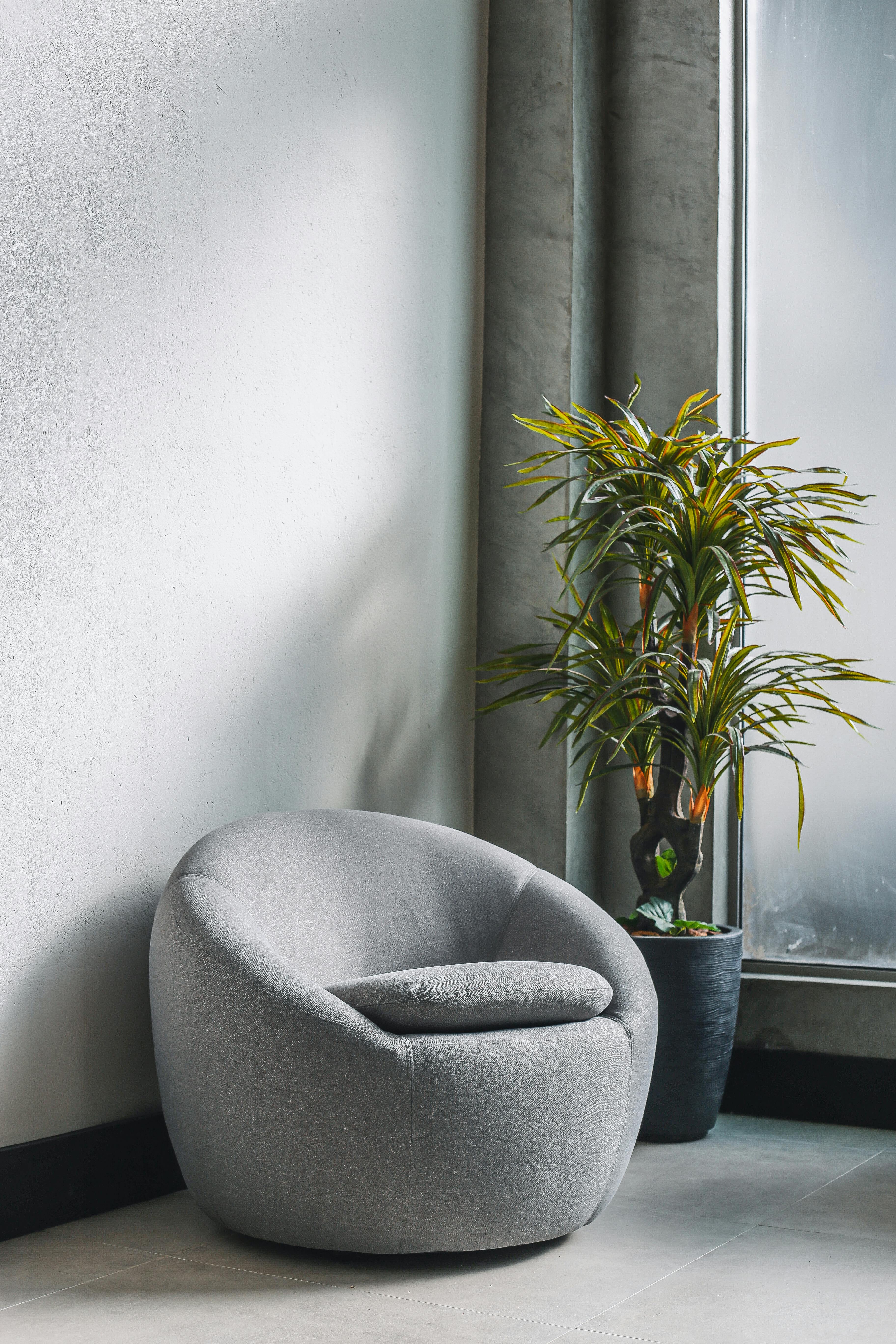 Free A sleek gray chair beside a potted plant in a minimalist room interior design. Stock Photo