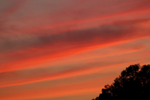 Scenic View of Sky during Dawn