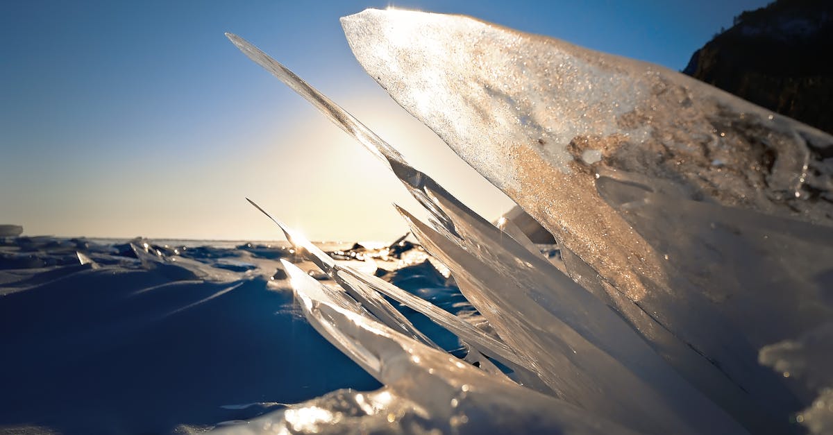 Closeup Photography of Frozen Water on Sand