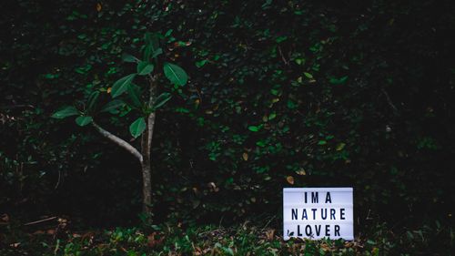 Free A lightbox with 'I'm a Nature Lover' against a vivid green plant background. Stock Photo