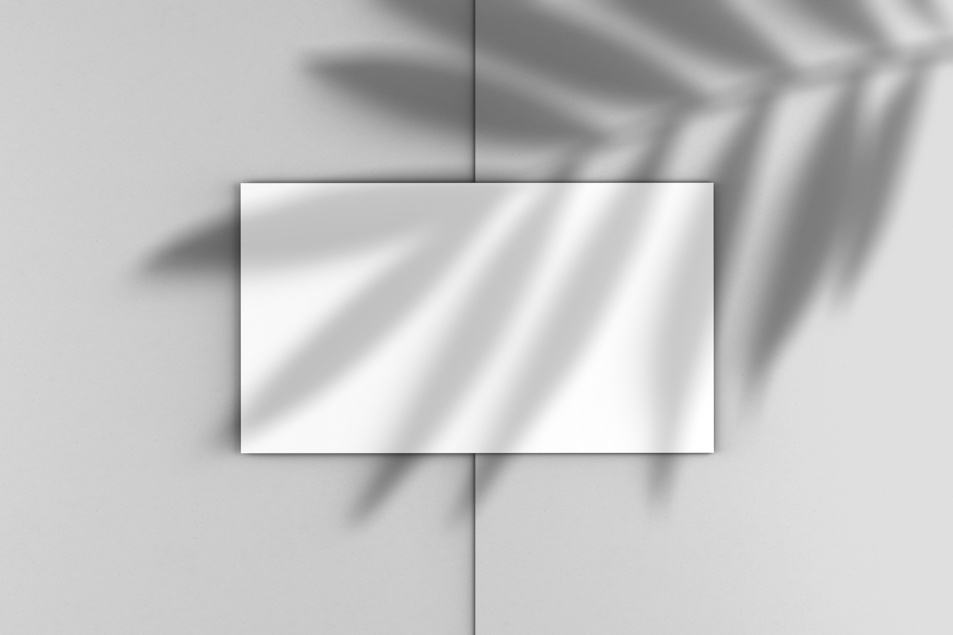 Minimalist blank card mockup featuring botanical leaf shadows on a neutral gray background.