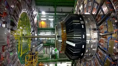 LUX-ZEPLIN Experiment Sets World's Most Stringent Limits on WIMP Dark Matter
