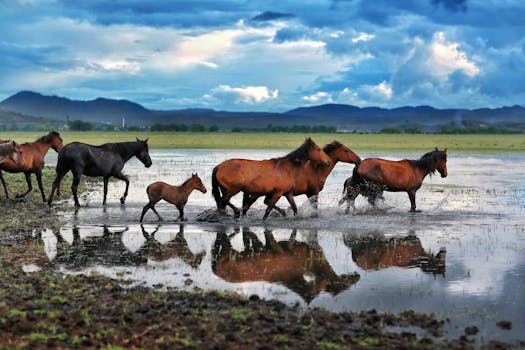 A stunning herd of horses, including foals, running through a vibrant pasture with mountains in the background.