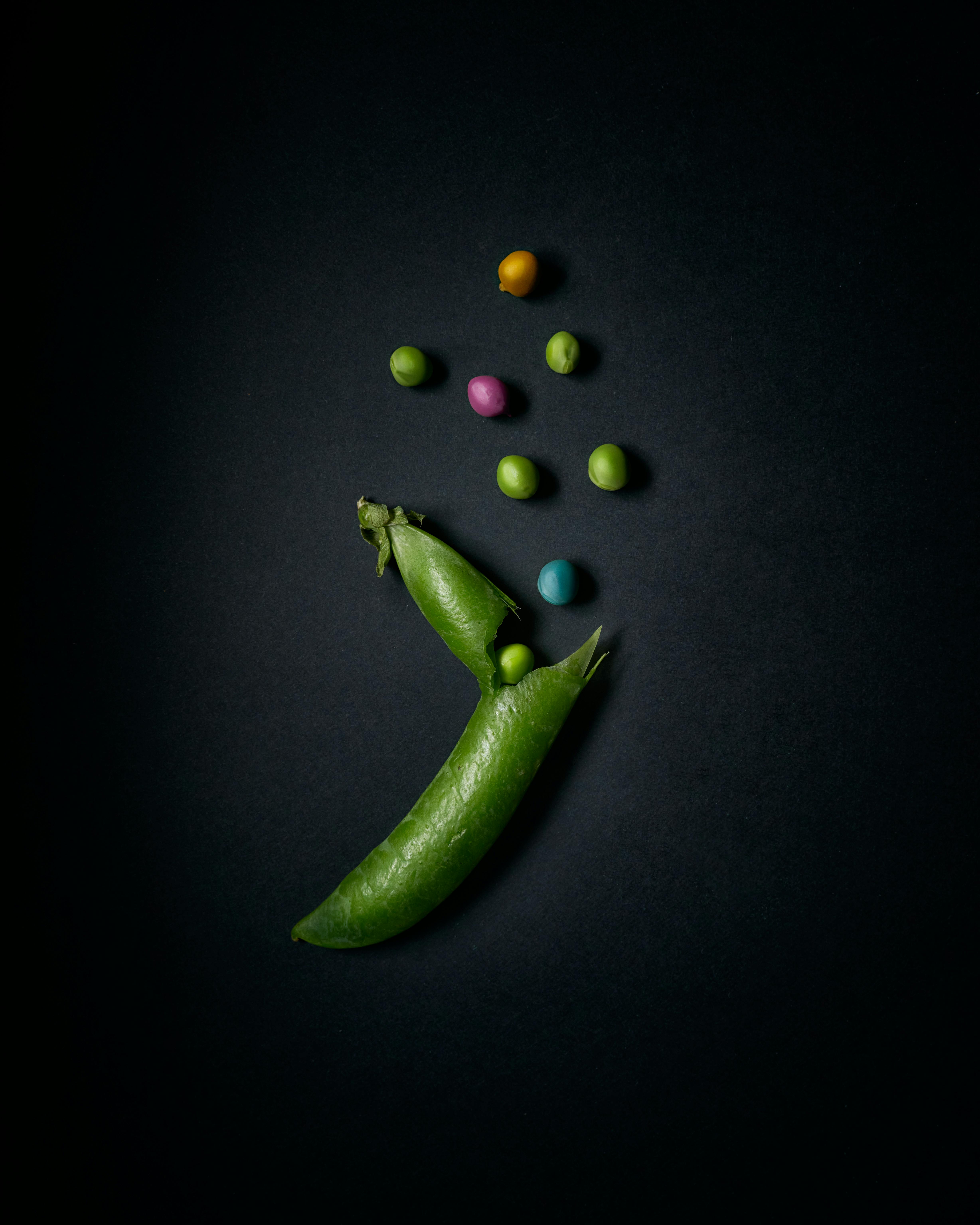 Beyond Green: The Secret to Growing a Rainbow of Edible-Podded Peas