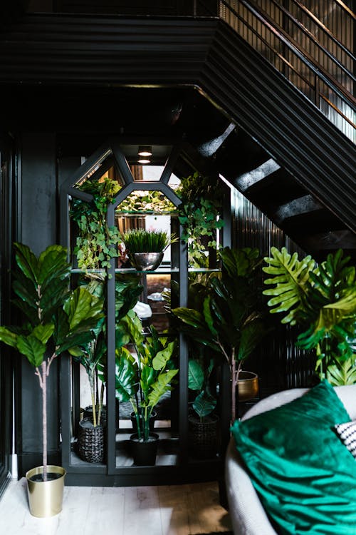 Green Plants Under the Stairs