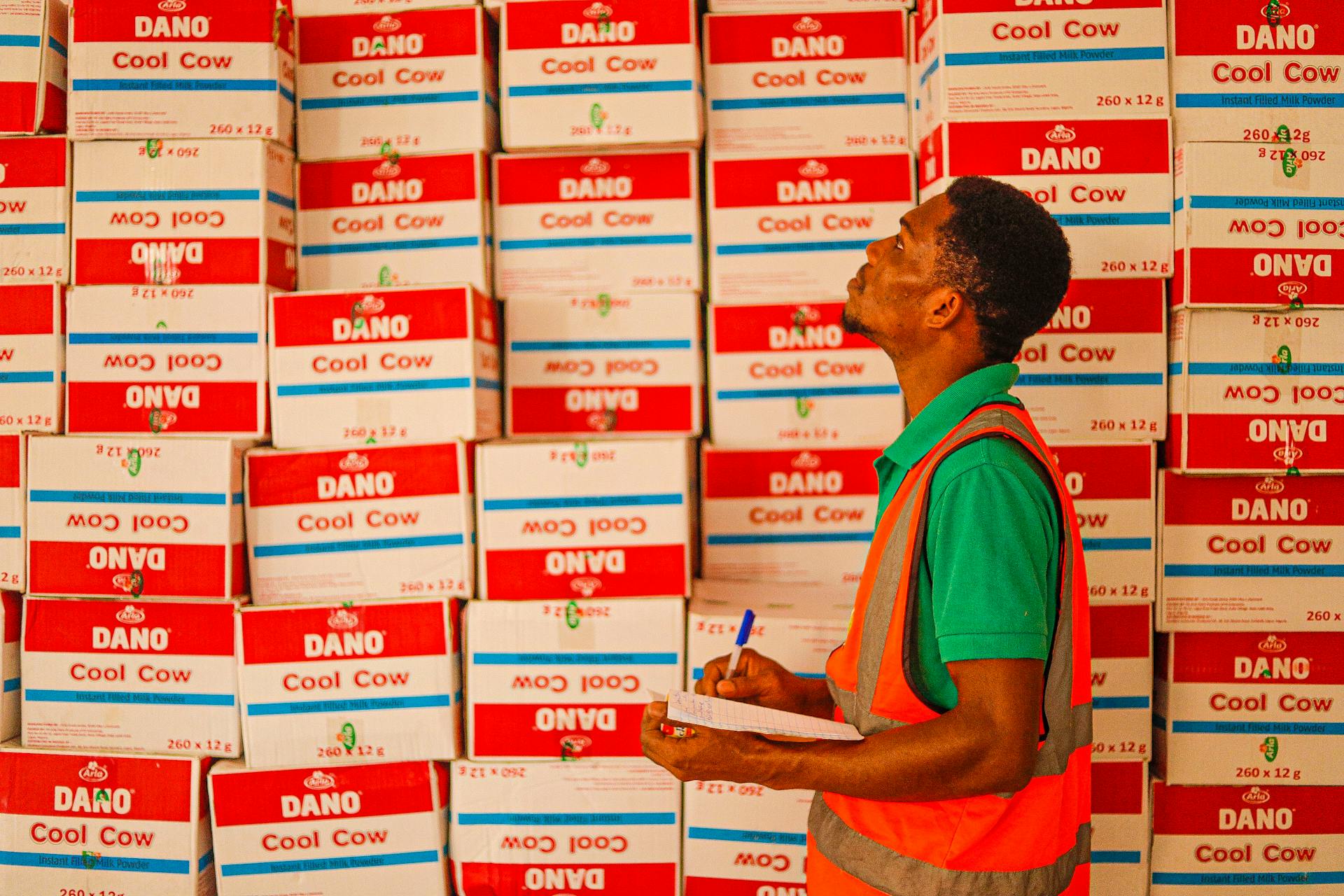 A warehouse worker examining stacked boxes labeled 'Dano Cool Cow'.