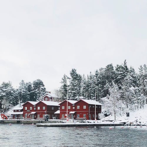 包围着雪的红色混凝土房屋