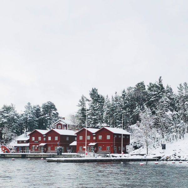 Röda hus vid vattnet en vinterdag