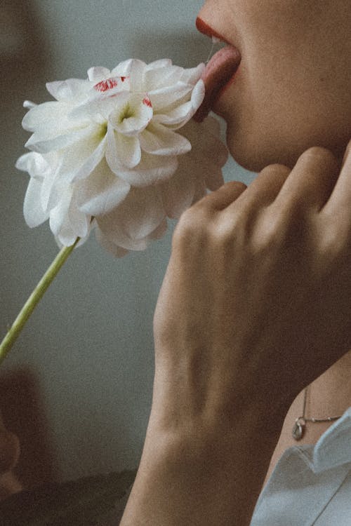 Person Licking a White Flower