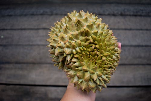 Kostenloses Stock Foto zu asiatisches essen, durian, exotische früchte