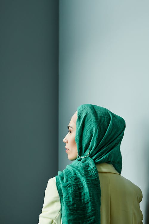 Gratis stockfoto met achteraanzicht, hijab, mevrouw