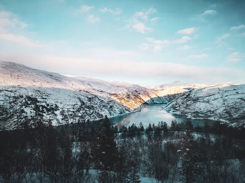 Immagine gratuita di ambiente, congelando, coperto di neve