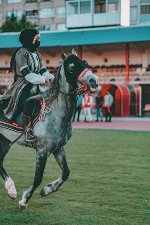 Free Woman in a hijab riding a horse at an equestrian event in Uşak, Türkiye. Stock Photo