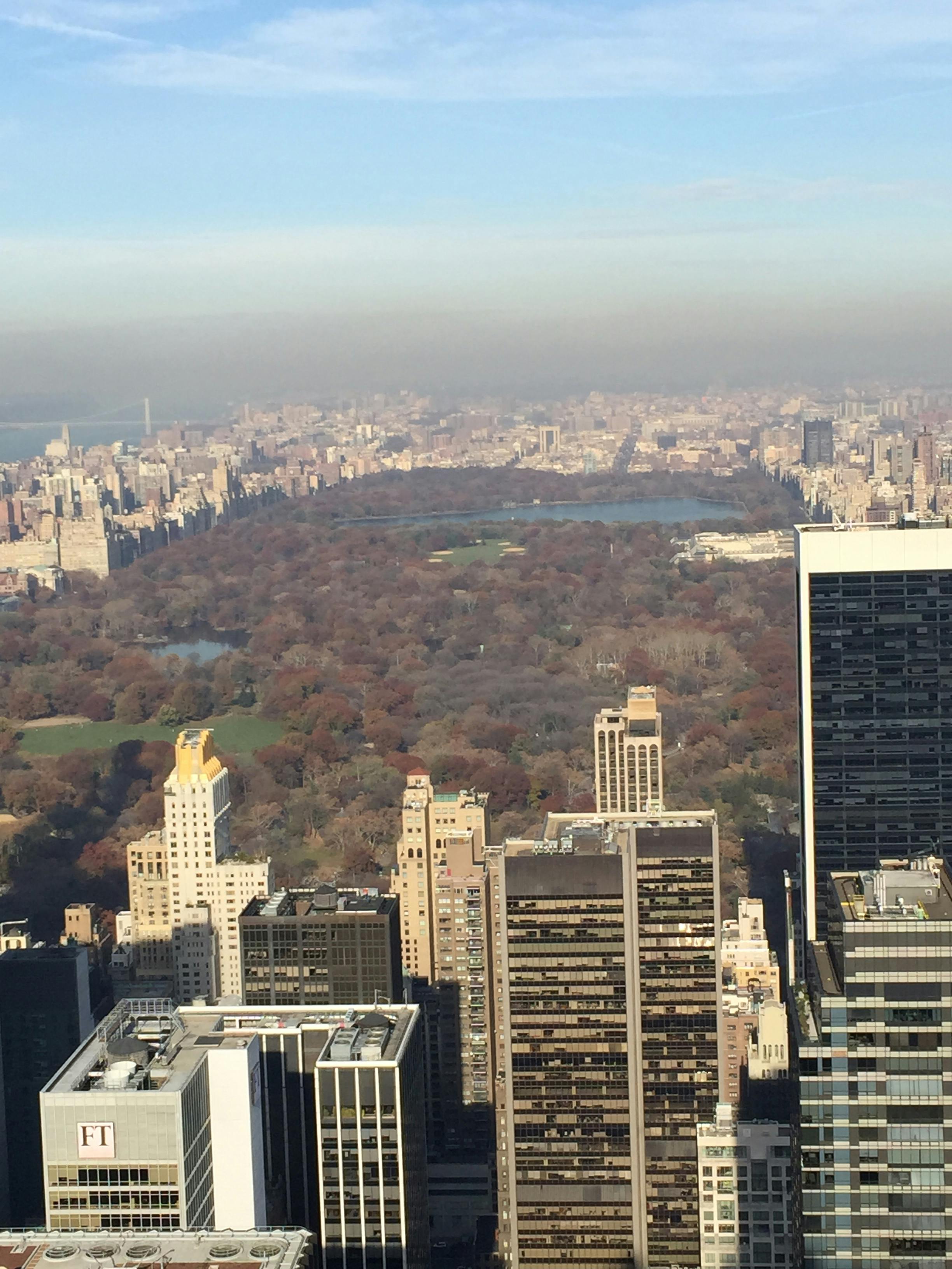 Free stock photo of central park, new york