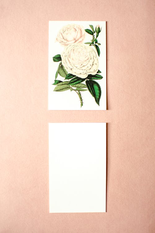A Paper with Flower Design above a Blank Paper