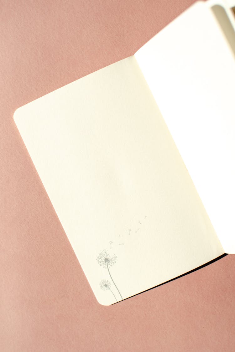 A Close-Up Shot Of Blank Pages Of A Notebook