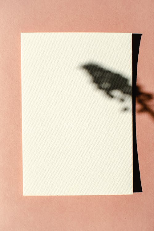 Ilmainen kuvapankkikuva tunnisteilla minimalistinen, oslon paperia, pinkki tausta