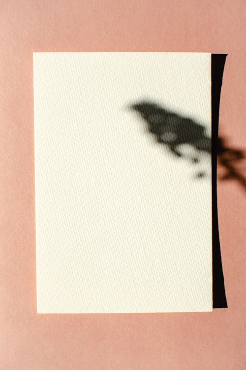 Free White paper on a pink background with shadow texture, minimalist design. Stock Photo