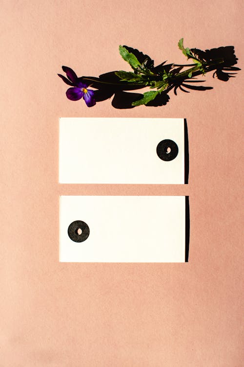 Photo of Blank Tags Near a Purple Flower