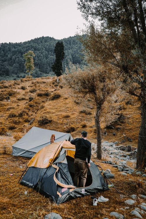 Free Person setting up a tent in a mountainous outdoor campsite, surrounded by trees in a serene setting. Stock Photo
