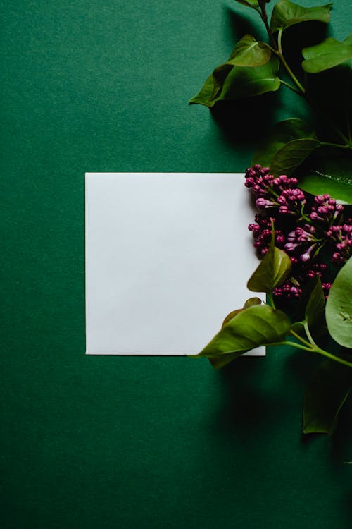 A Blank Card Near Lilac Flowers