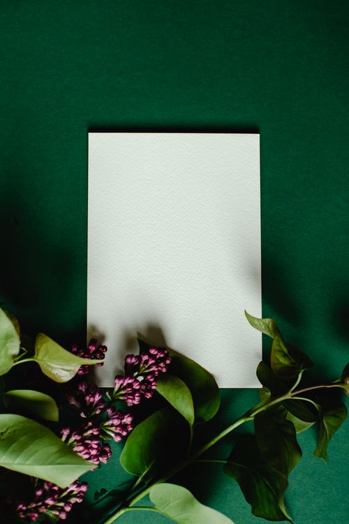 Free A flat lay of blank white paper surrounded by lilac and green leaves on a dark green background. Stock Photo