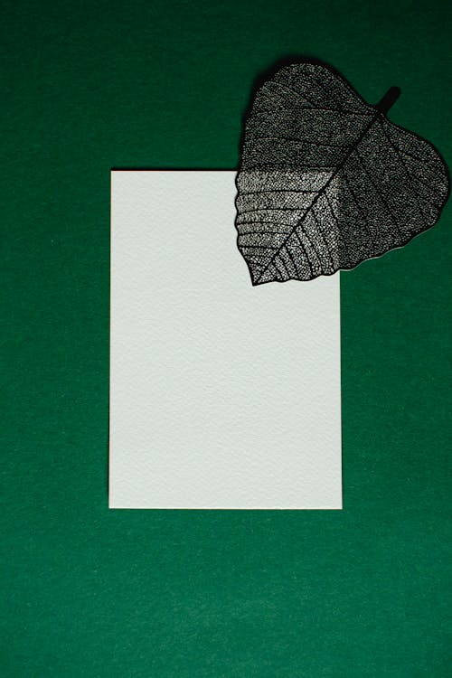 White Blank Paper on Green Surface